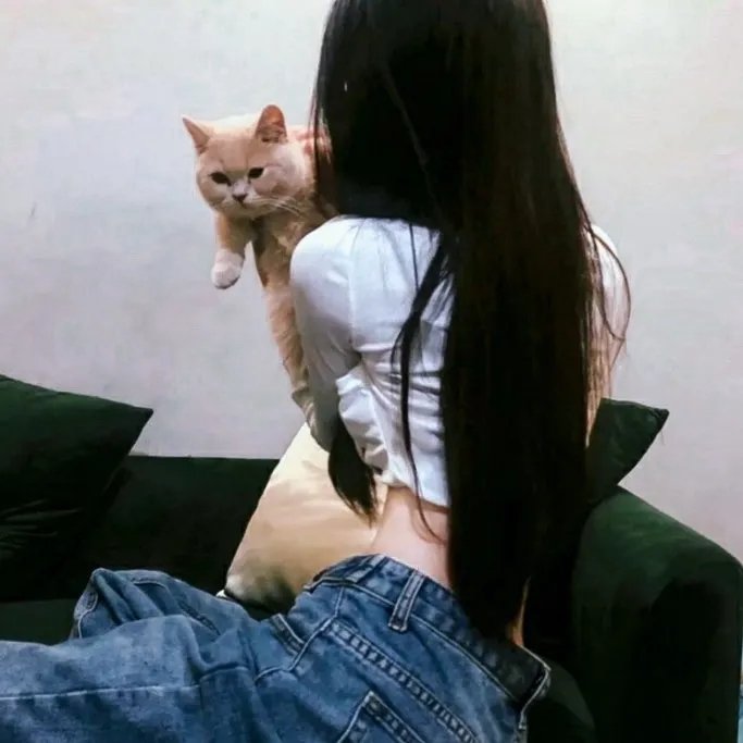 女作家与谋杀案第十季